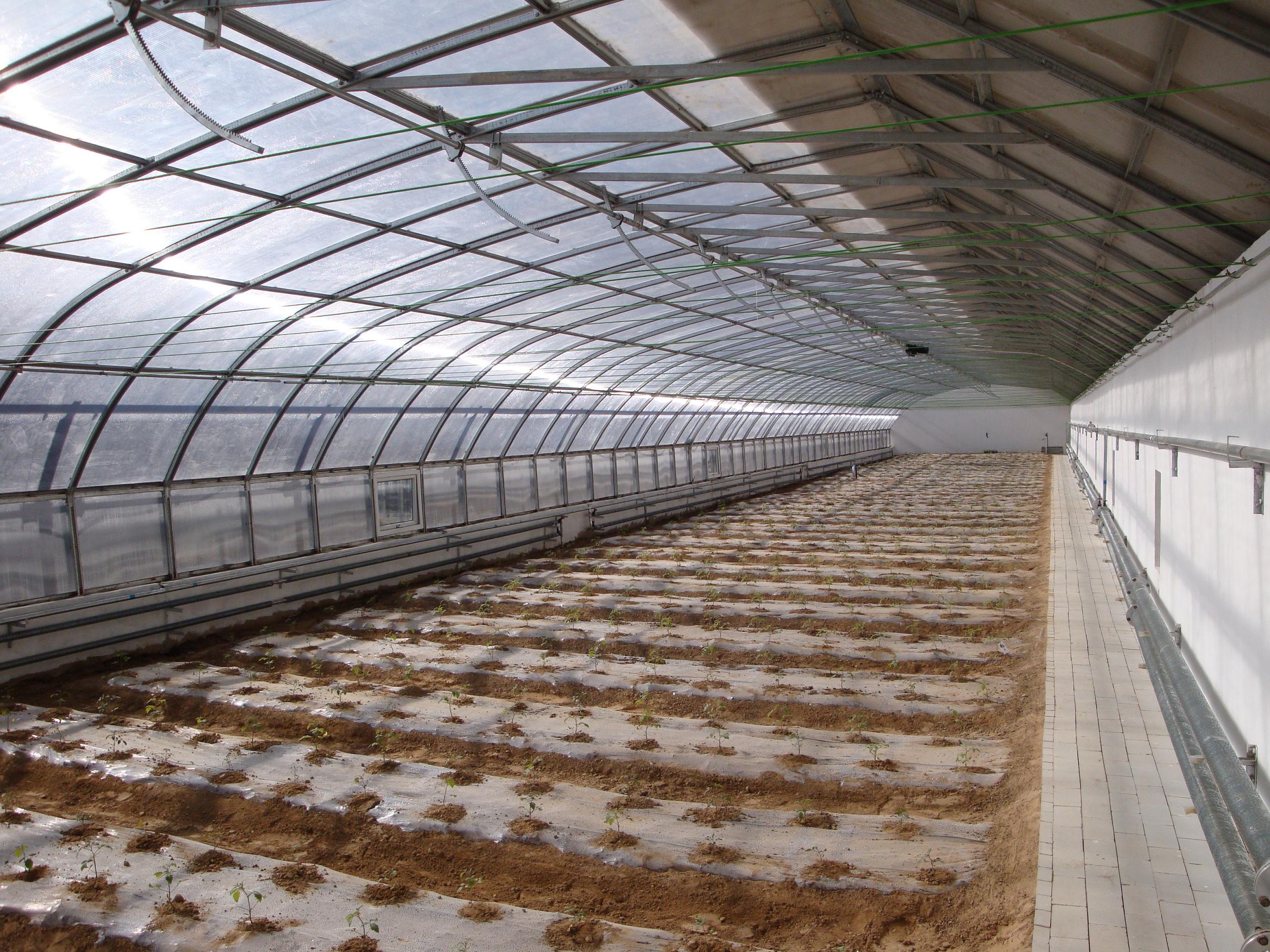 Energy Saving Chinese Solar Greenhouse | pottersranch